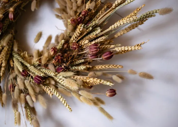 Casa Di Nikolas Naxos Pláka