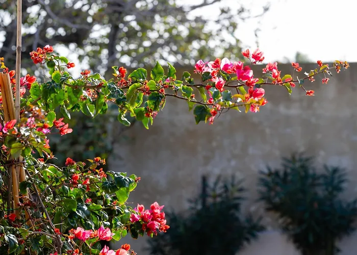 Casa Di Nikolas Naxos *