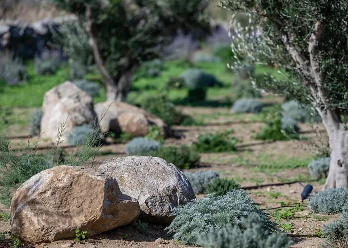 Casa Di Nikolas Naxos 别墅 Pláka